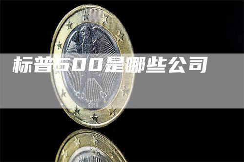 标普500是哪些公司