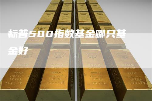 标普500指数基金哪只基金好