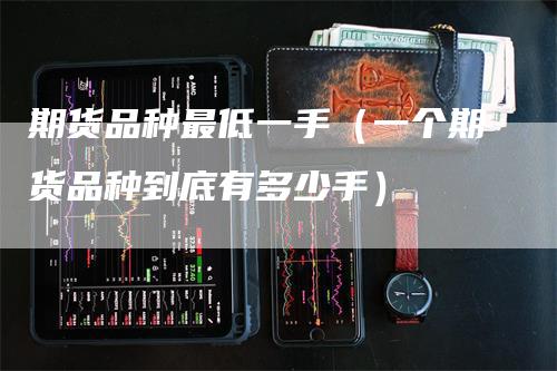 期货品种最低一手（一个期货品种到底有多少手）