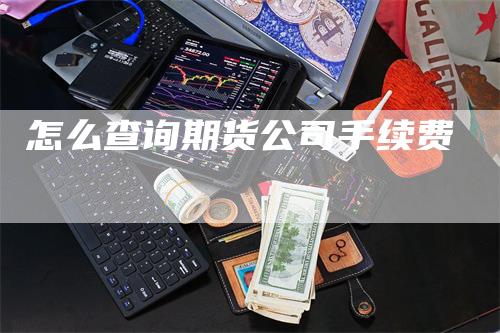 怎么查询期货公司手续费