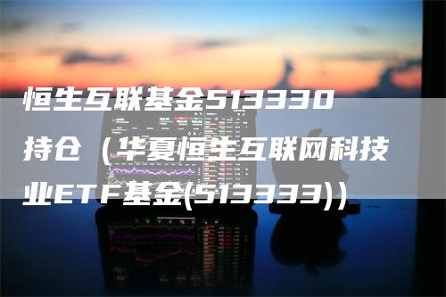 恒生互联基金513330持仓（华夏恒生互联网科技业ETF基金(513333)）