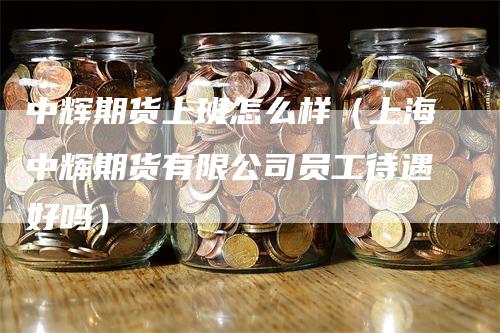 中辉期货上班怎么样（上海中辉期货有限公司员工待遇好吗）