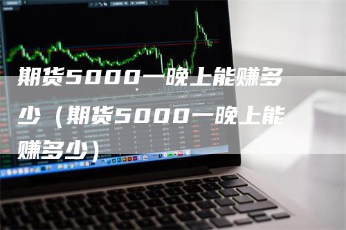 期货5000一晚上能赚多少（期货5000一晚上能赚多少）