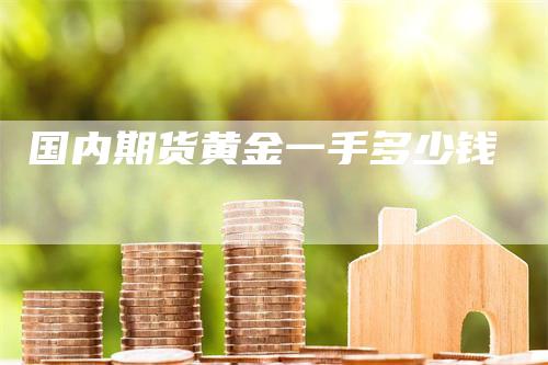 国内期货黄金一手多少钱