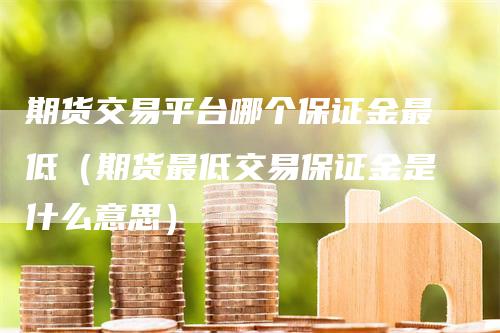 期货交易平台哪个保证金最低（期货最低交易保证金是什么意思）