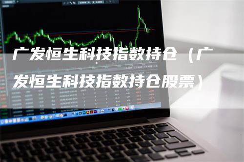 广发恒生科技指数持仓（广发恒生科技指数持仓股票）