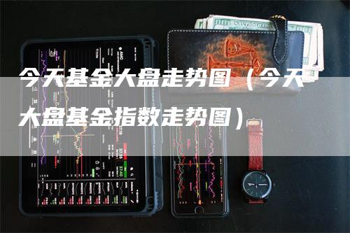 今天基金大盘走势图（今天大盘基金指数走势图）