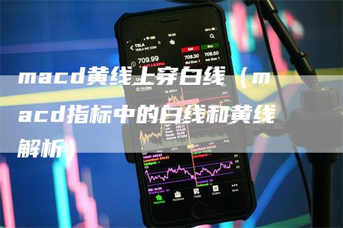 macd黄线上穿白线（macd指标中的白线和黄线解析）