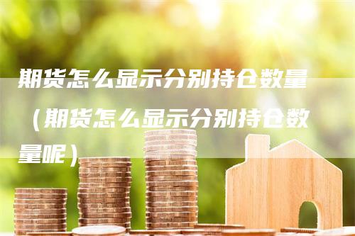 期货怎么显示分别持仓数量（期货怎么显示分别持仓数量呢）