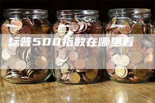 标普500指数在哪里看