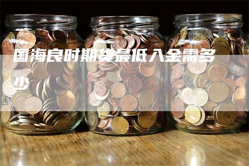 国海良时期货最低入金需多少