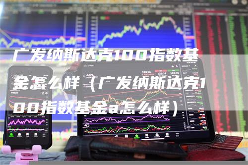 广发纳斯达克100指数基金怎么样（广发纳斯达克100指数基金a怎么样）