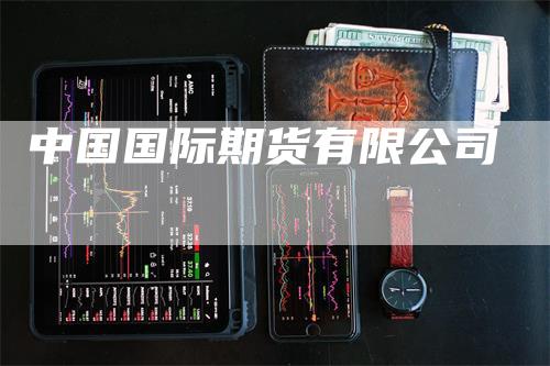 中国国际期货有限公司