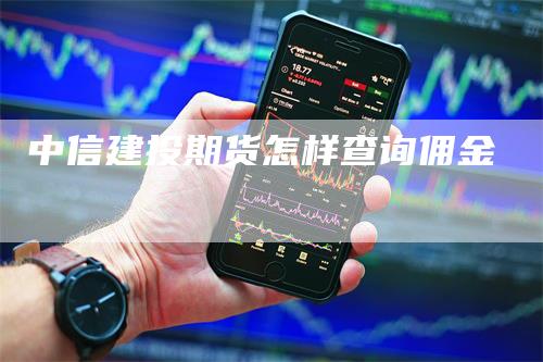 中信建投期货怎样查询佣金