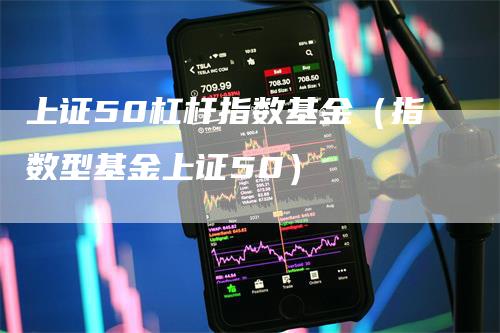 上证50杠杆指数基金（指数型基金上证50）