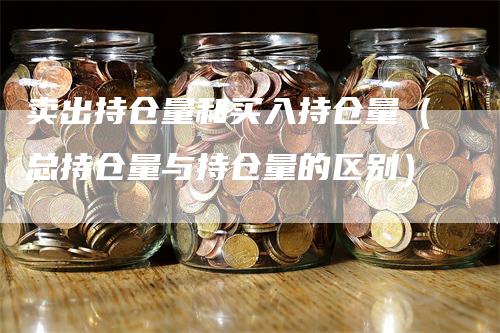 卖出持仓量和买入持仓量（总持仓量与持仓量的区别）