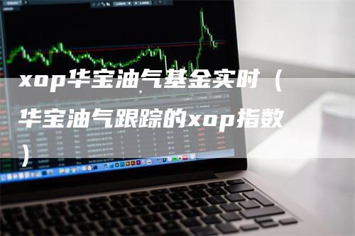 xop华宝油气基金实时（华宝油气跟踪的xop指数）