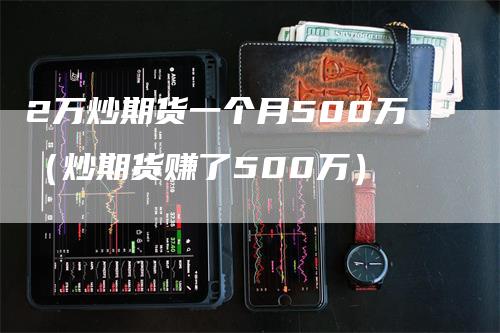 2万炒期货一个月500万（炒期货赚了500万）