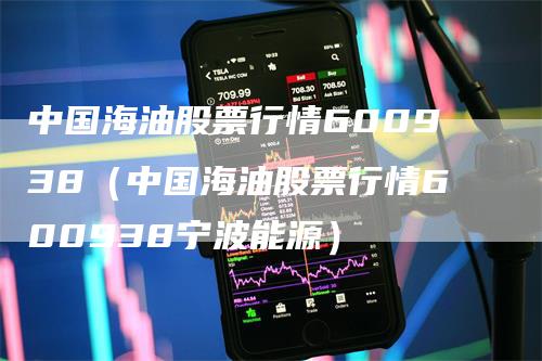 中国海油股票行情600938（中国海油股票行情600938宁波能源）