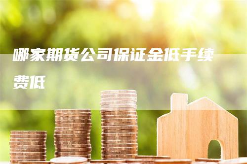 哪家期货公司保证金低手续费低