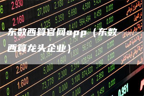 东数西算官网app（东数西算龙头企业）