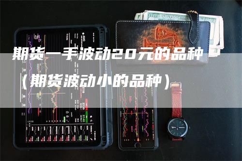 期货一手波动20元的品种（期货波动小的品种）