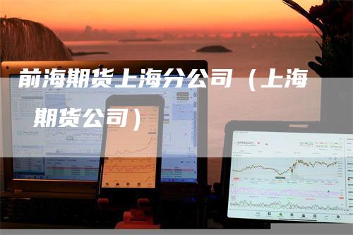 前海期货上海分公司（上海 期货公司）