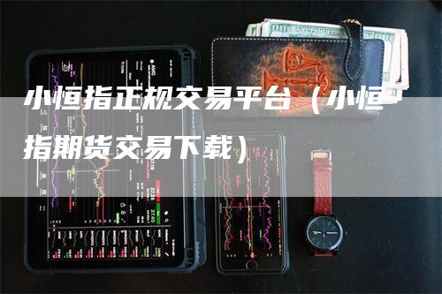 小恒指正规交易平台（小恒指期货交易下载）