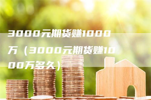 3000元期货赚1000万（3000元期货赚1000万多久）